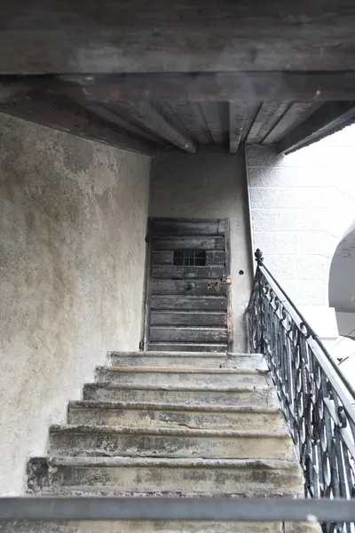 DSC_6180 (Large).JPG